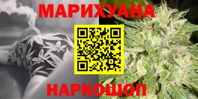 гашик Моздок