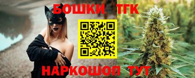 гашик Моздок