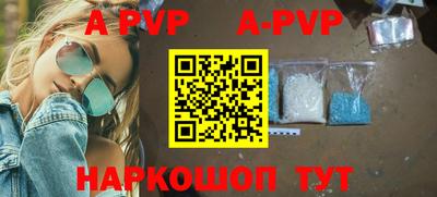 гашик Моздок