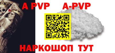 гашик Моздок