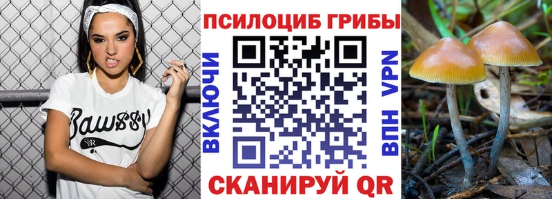 дарнет шоп Узловая Галлюциногенные грибы мухоморы