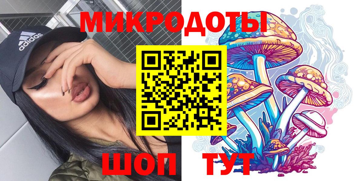 Псилоцибиновые грибы Psilocybe Узловая